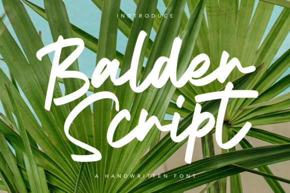 Balder Script: Adding a Handwritten Touch to Modern Design