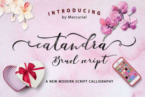 Catandra Script: The Modern Handmade Font for Your Brand