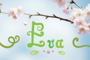 Eva Script: The Hand-Drawn Font That Brings Warmth to Any Project