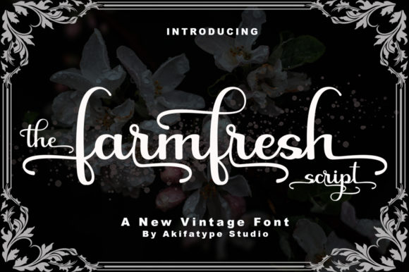Farmfresh Script: A Bold Vintage Typeface for Modern Brands
