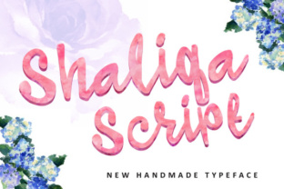 Shaliqa Script: Where Handmade Charm Meets Professional Polish