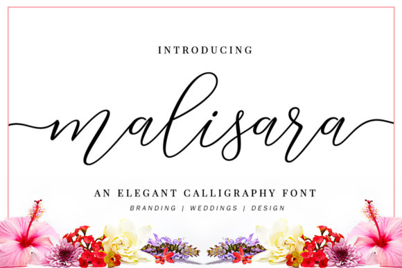 The Romantic Twist of Malisara Script in Modern Design